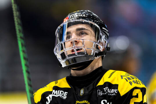 Västerås Joel Kant