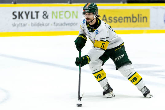 Björklövens Gustav Possler