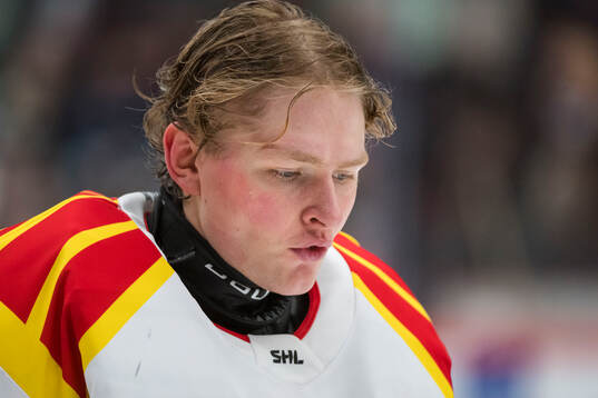 Brynäs målvakt Ludvig Persson