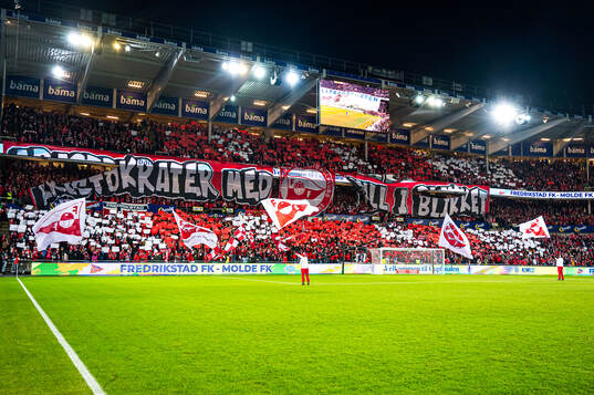 Spectators in the stands