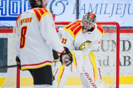 Brynäs målvakt Ludvig Persson