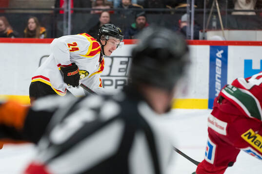 Brynäs Linus Lindblom