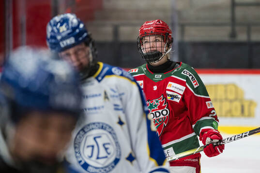 Modos Ebba Hedqvist