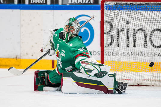 Under ishockeymatchen i Damhockeyallsvenskan Södra mellan