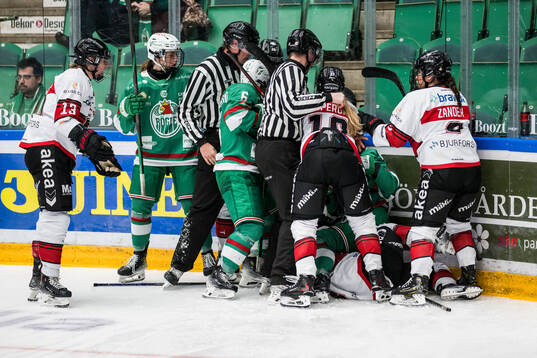 Bråk mellan Malmö och Rögle spelaren
