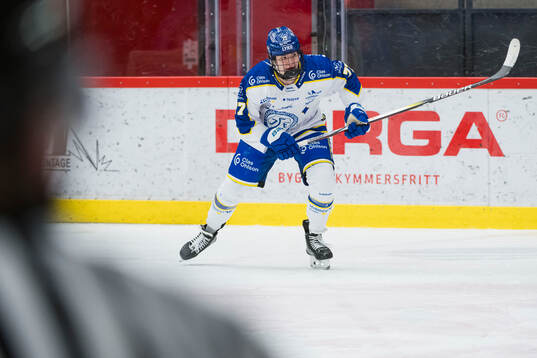 Leksands Tereza Radova