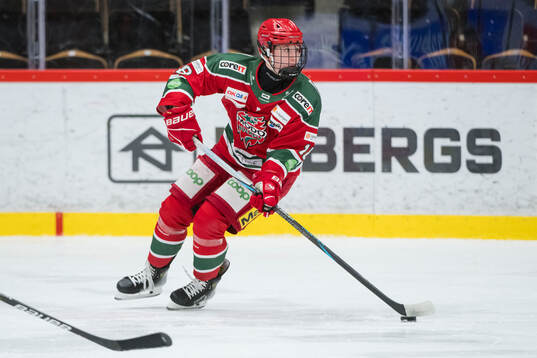 Leksands Saga Tynell-Nissas