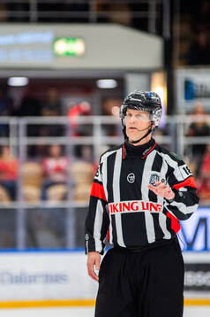 Domare Mikael Nord
