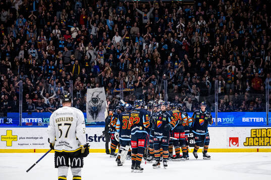 Djurgårdens spelare jublar