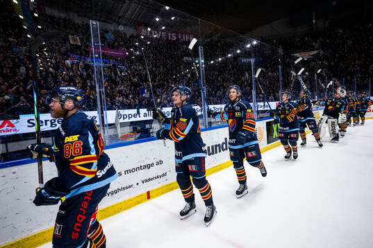 Djurgårdens spelare jublar