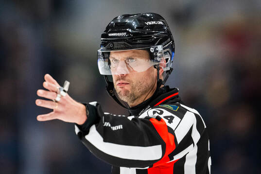 Domare Johan Magnusson