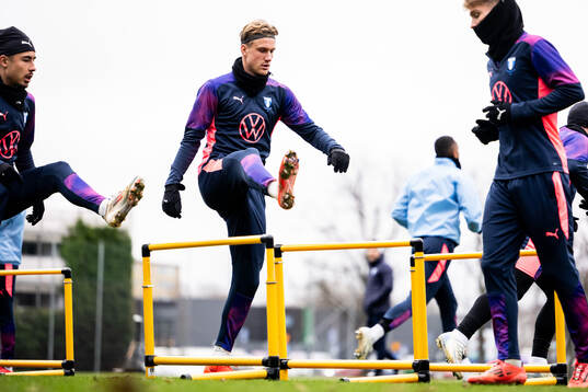 Erik Botheim of Malmö FF