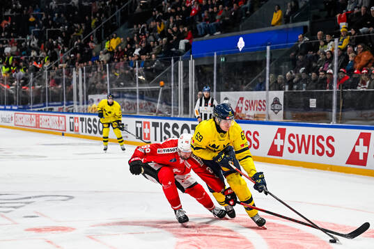 Fabian Heldner of Switzerland and Milton Oscarson of Sweden