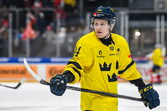 Sebastian Hartmann of Sweden in the ice hockey game between