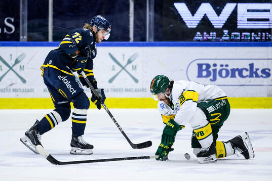 Södertäljes Nicolai Meyer och Björklövens Mathew Maione