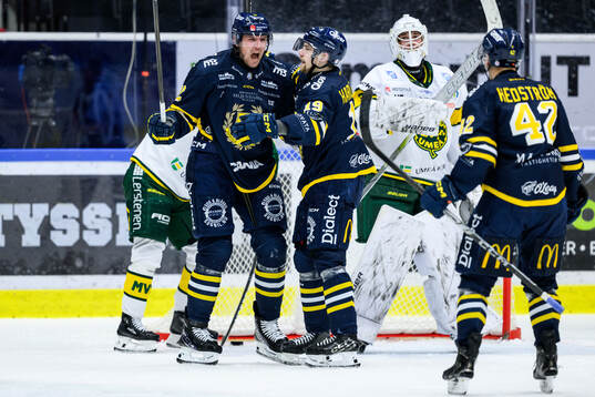 Södertäljes Viktor Liljegren jublar med Hampus Harlestam