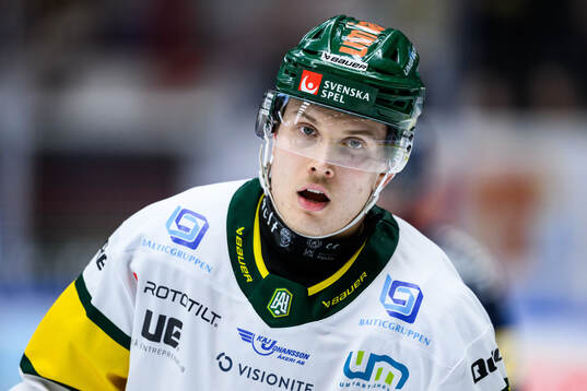 Björklövens Lenni Killinen