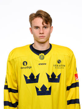 Felix Nilsson poses for a portrait