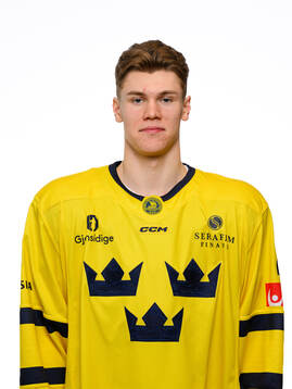 Dennis Altörn poses for a portrait