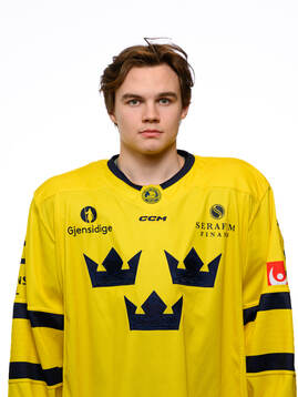 Axel Sandin-Pellikka poses for a portrait