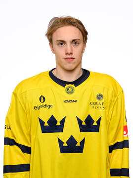 Linus Eriksson poses for a portrait