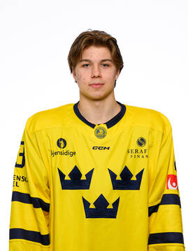 Isac Hedqvist poses for a portrait