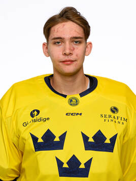 Goalkeeper Marcus Gidlöf poses for a portrait