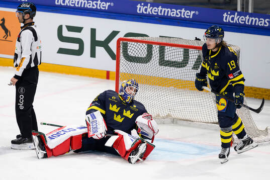 Goaltender Lars Johansson of Sweden looks dejected in the