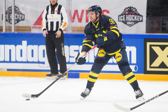Linus Sandin of Sweden in the ice hockey game between Czech