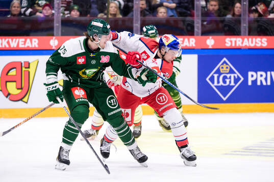 Jeremy Groleau of Färjestad  and Troy Bourke of EC Red