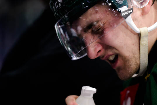Joel Nyström of Färjestad