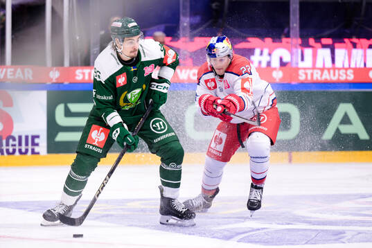 David Tomasek of Färjestad  and Dennis Robertson of EC Red