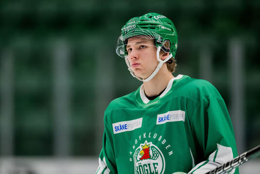 Rögles Gregor Biber
