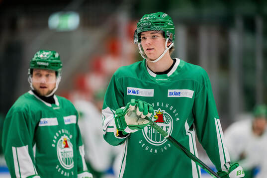 Rögles Gregor Biber