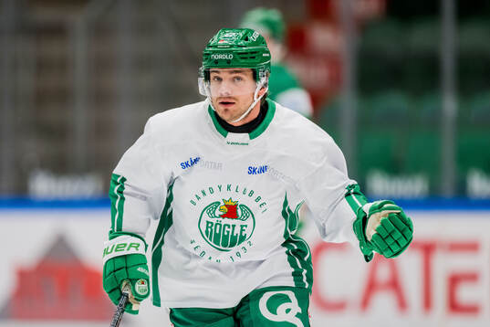 Rögles Leon Bristedt