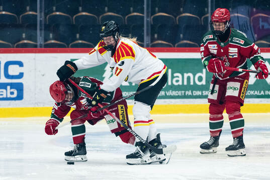 Brynäs Anna Brenkle