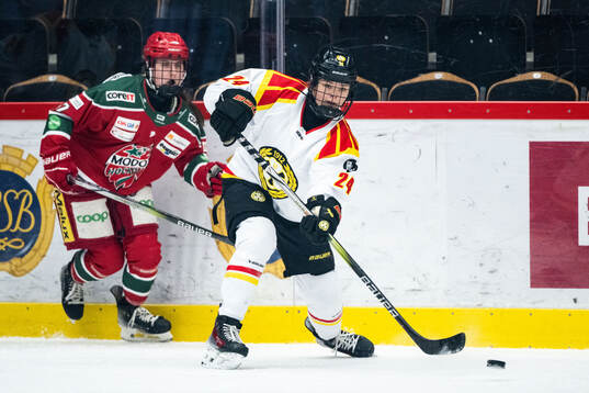 Brynäs Sara Cajanova