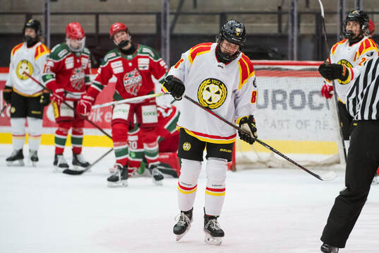 Brynäs Sanni Vanhanen deppar