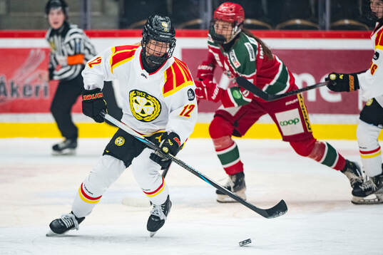 Brynäs Mina Waxin
