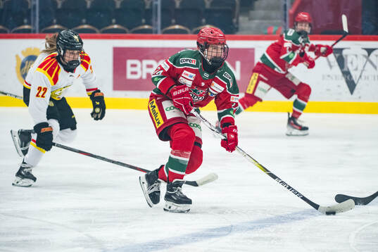 Modos Ebba Hedqvist