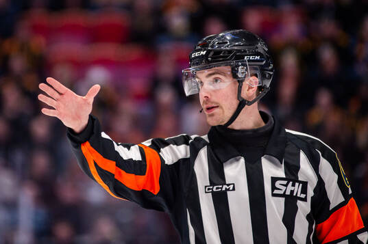 Domare Filip Eriksson