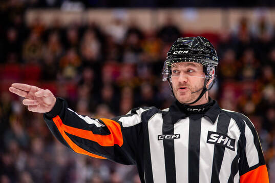 Domare Daniel Eriksson