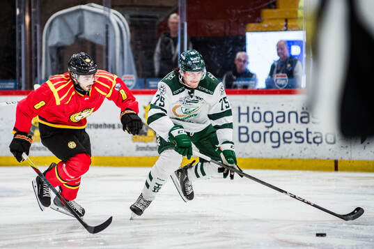 Brynäs Bobby Trivigno och Färjestads Jeremy Salvas Groleau