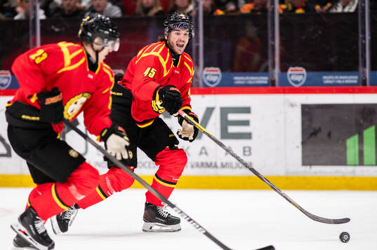 Brynäs Charles-Édouard D'astous