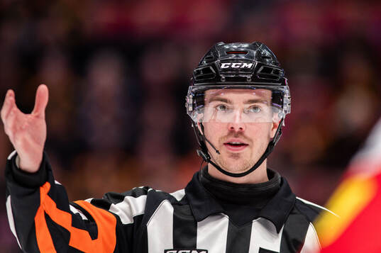 Domare Filip Eriksson