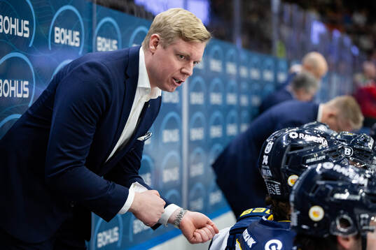 HV71s tränare Anton Blomqvist