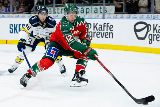 HV71s Olle Alsing och Frölundas Max Friberg