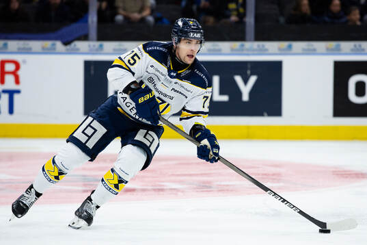 HV71s Radan Lenc