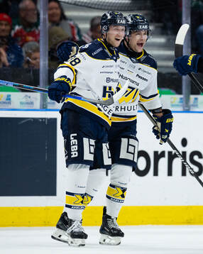 HV71s Olle Alsing jublar ihop med Radan Lenc