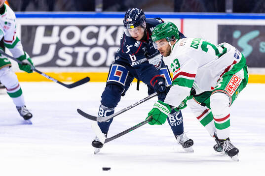 Linköpings Mattias Hävelid och Rögles Josh Dickinson